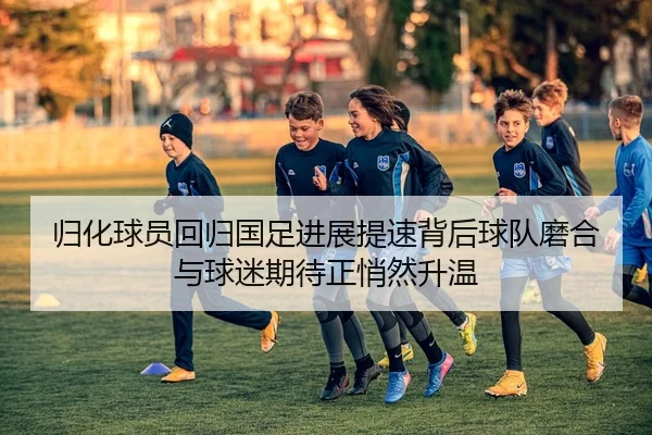 归化球员回归国足进展提速背后球队磨合与球迷期待正悄然升温